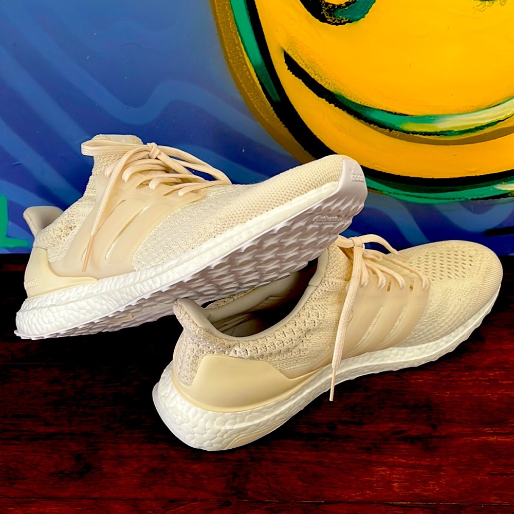 COPY - Adidas ultraboost shoes